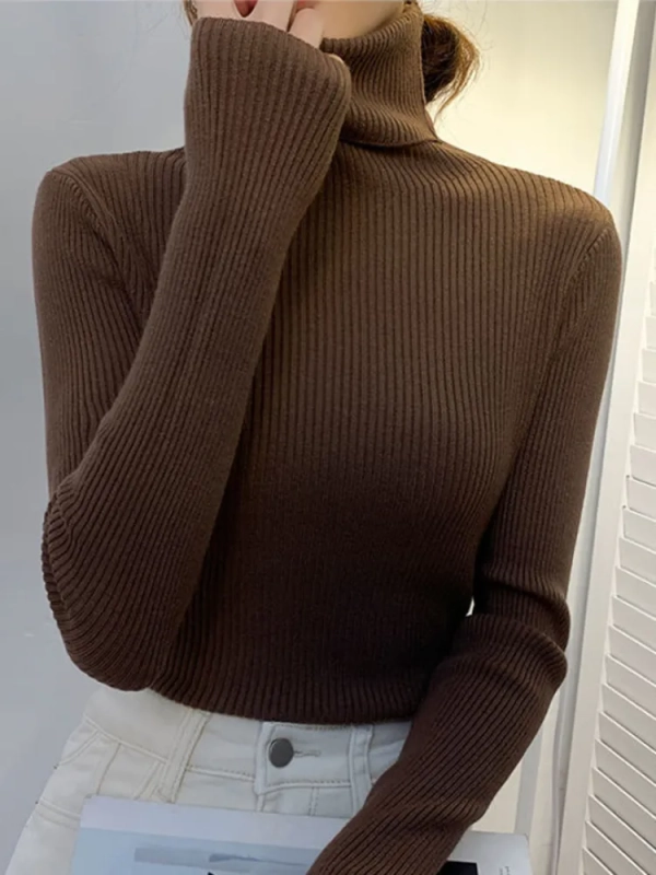 Styledfusion New 2023 Women Pullover Turtleneck Sweater Autumn Long Sleeve Slim Elastic Korean Simple Basic Cheap Jumper Solid Color Top